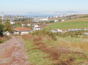 YALOVA MERKEZ ELMALIK KÖYÜNDE SATILIK DENİZ MANZARALI TARLA