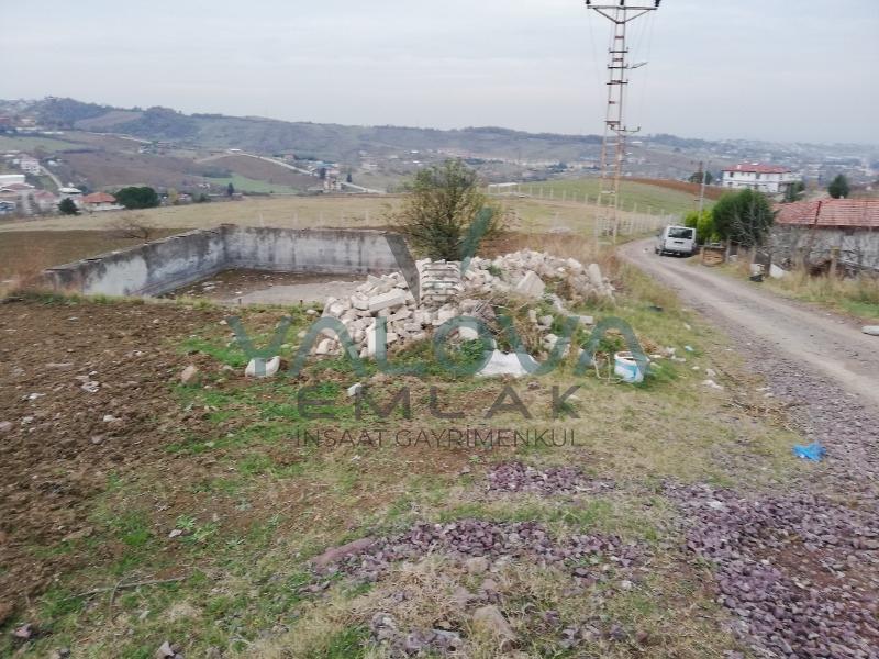 YALOVA MERKEZ ELMALIK KOYÜNDE SATILIK TARLA