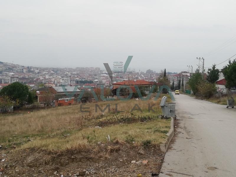 YALOVA MERKEZ ELMALIK KOYÜNDE SATILIK TARLA