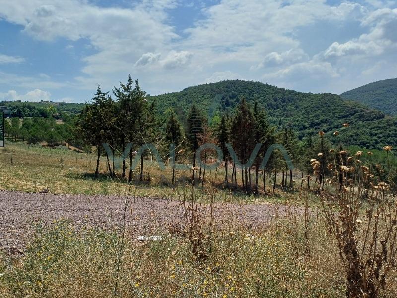 YALOVA ALTINOVA TAVŞANLIDA SATILIK ARSA