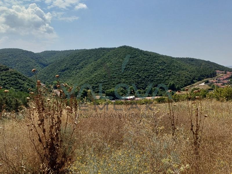 YALOVA ALTINOVA TAVŞANLIDA SATILIK ARSA