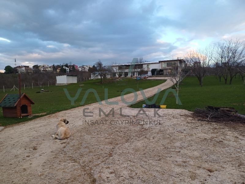 YALOVA MERKEZ KADIKÖYDE SATILIK AHIR VE ÇİFTLİK EVİ