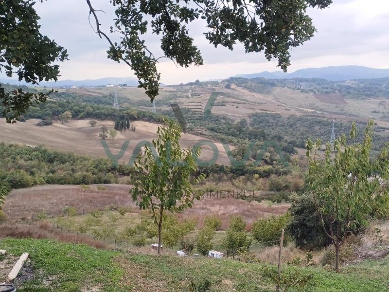 YALOVA ÇİFTLİKKÖY DENİZÇALI KÖYÜNDE YATIRIMLIK TARLA